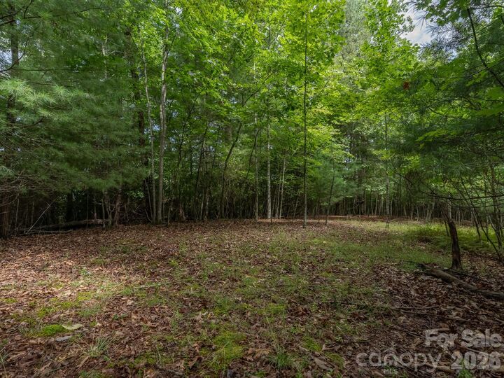 Property Photo:  0 Hebron Road  NC 28792 