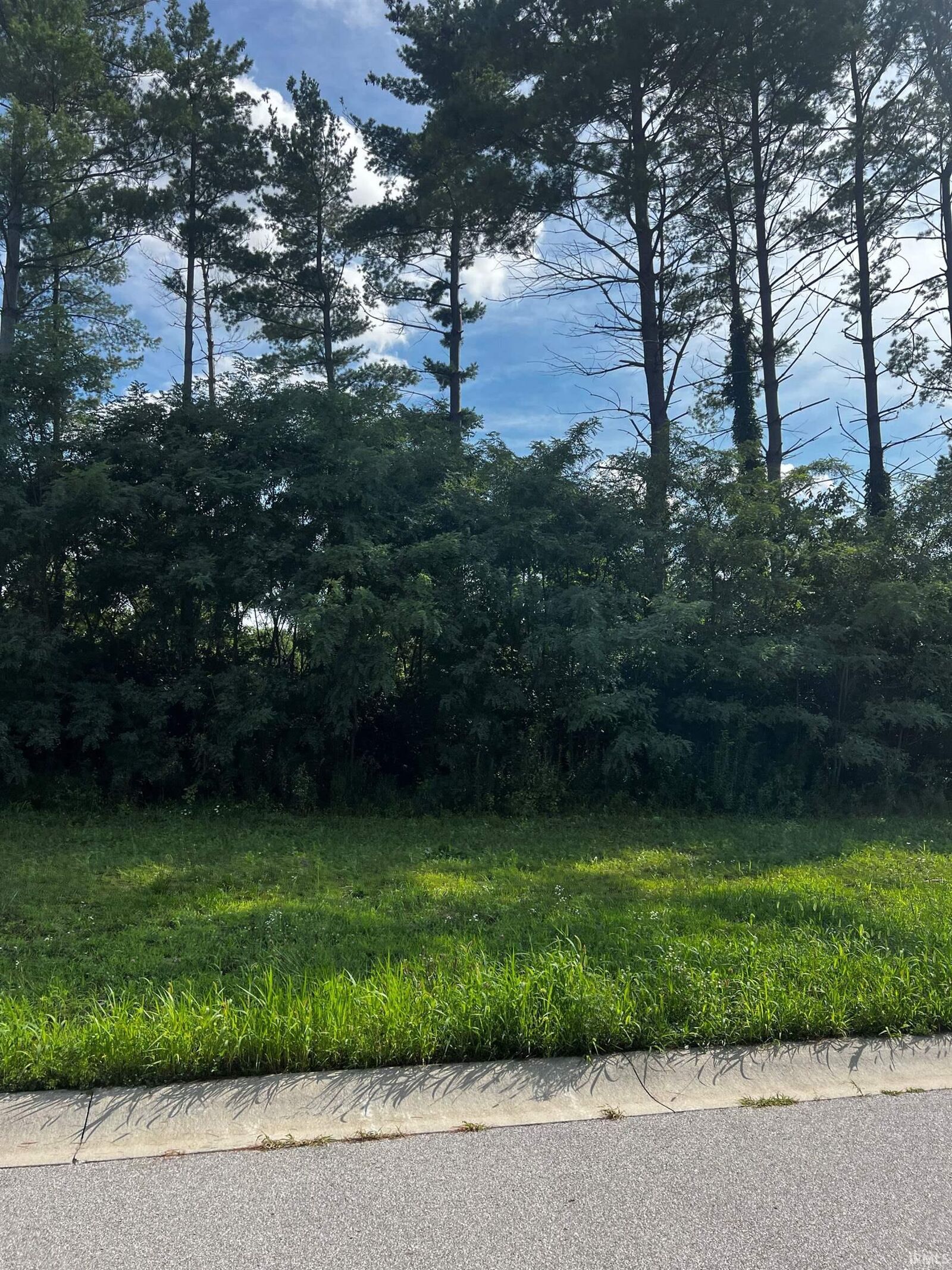 Property Photo:  655 Skillet Avenue  IN 46748 
