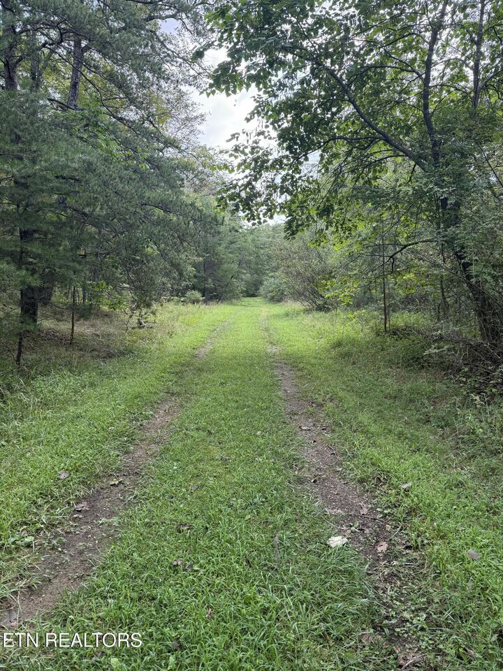 Property Photo:  130 Blackburn Drive  TN 38558 