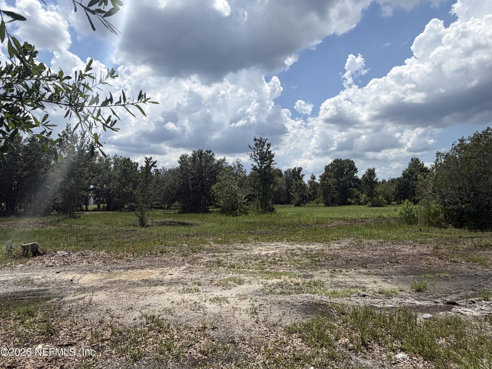 Property Photo: Tbd Dayflower Boulevard FL 33544