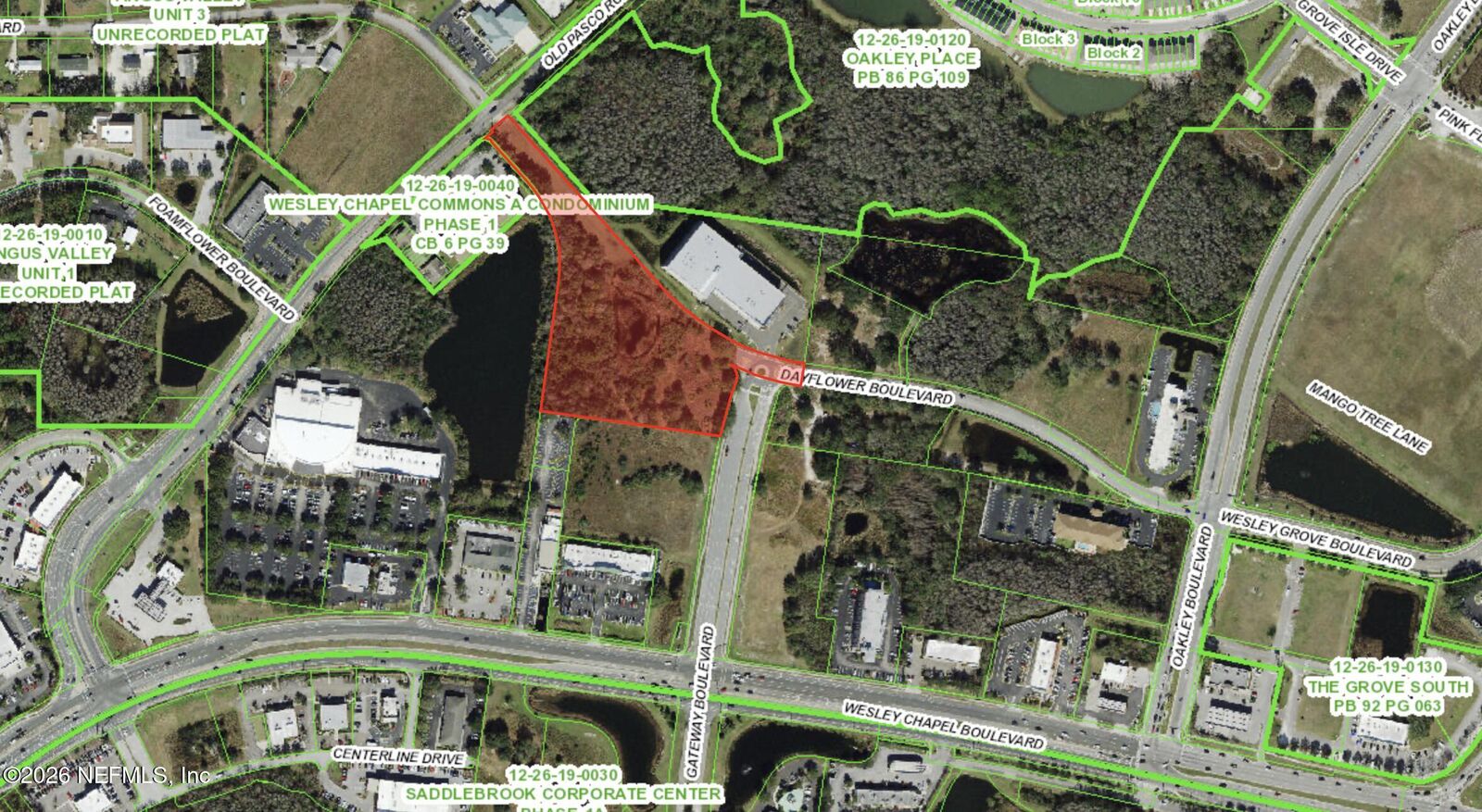Property Photo: Tbd Dayflower Boulevard FL 33544