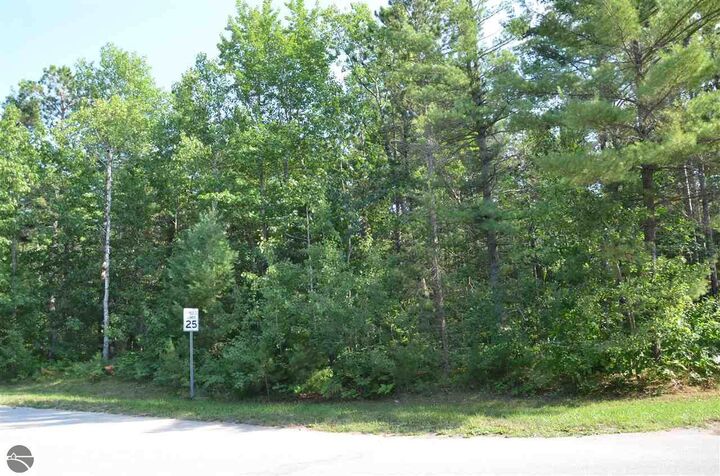 Property Photo: Off W Log Lake Road MI 49646