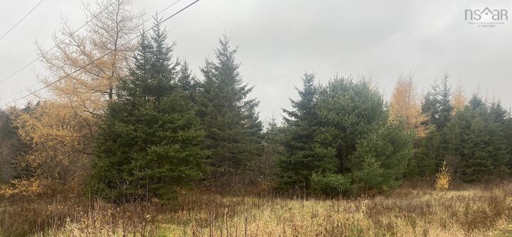 Property Photo:  Lot 10 New Cheverie Road  NS B0N 2A0 