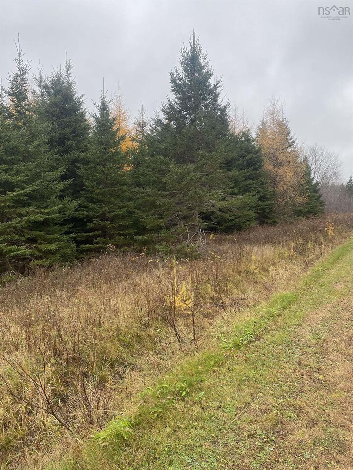 Property Photo:  Lot 6 New Cheverie Road  NS B0N 1E0 