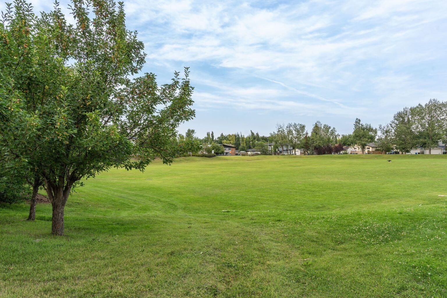 Property Photo:  2819 28 Street SW  AB T3E 4R2 