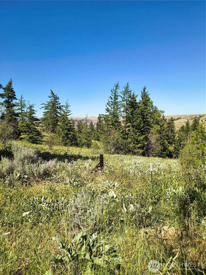 Property Photo: 0 Unassigned WA 98802
