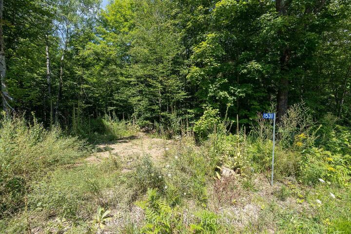 Property Photo:  1531 Myers Cave Road  ON K0H 1B0 
