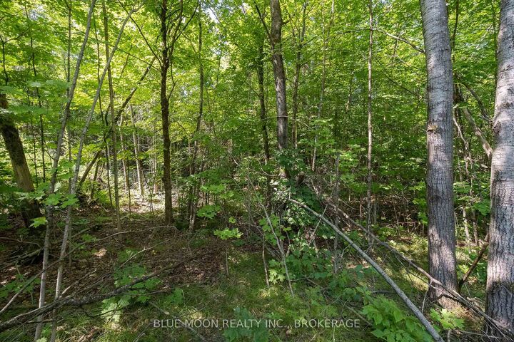 Property Photo:  1531 Myers Cave Road  ON K0H 1B0 
