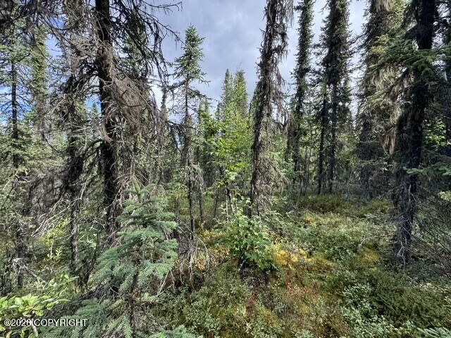Property Photo:  Tr 15 Funny River Road  AK 99669 