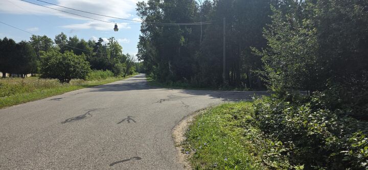Property Photo: 395 Gorman Rd MI 49781