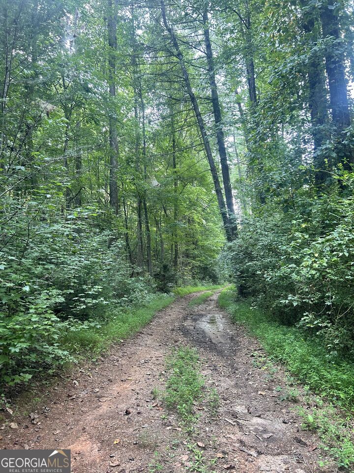Property Photo:  505 Hank Fry Road  GA 30523 
