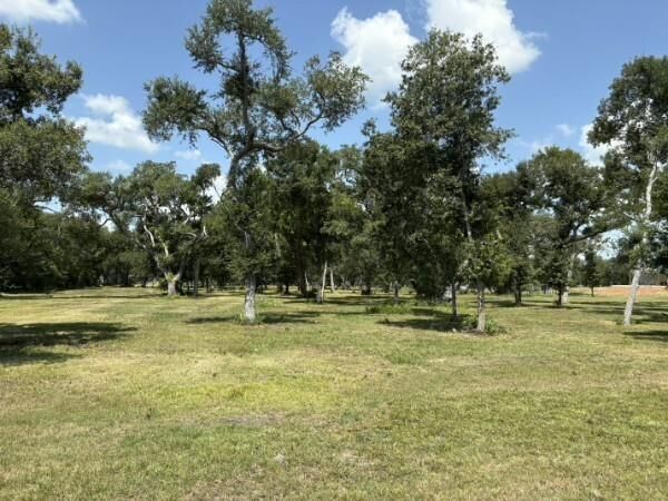 Property Photo: 0 Fm 2611 TX 77422