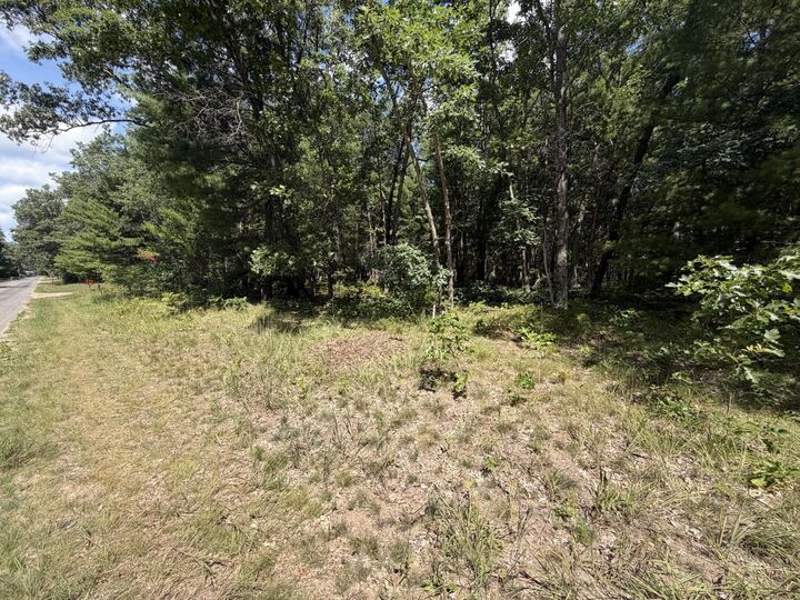 Property Photo: Lot 14/15 S Star Lake Drive MI 49304