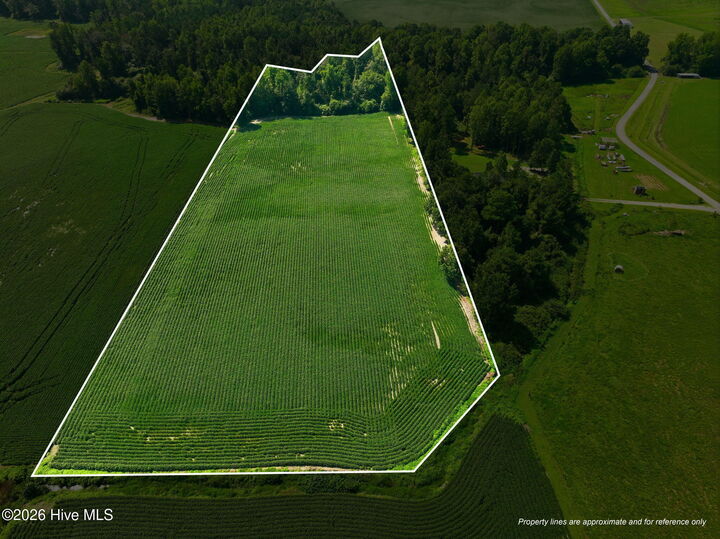 Property Photo:  0 S Nc 111 Highway  NC 28521 