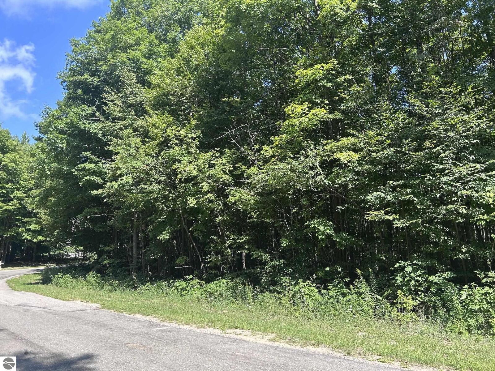 Property Photo: 0 Antioch Drive MI 49668