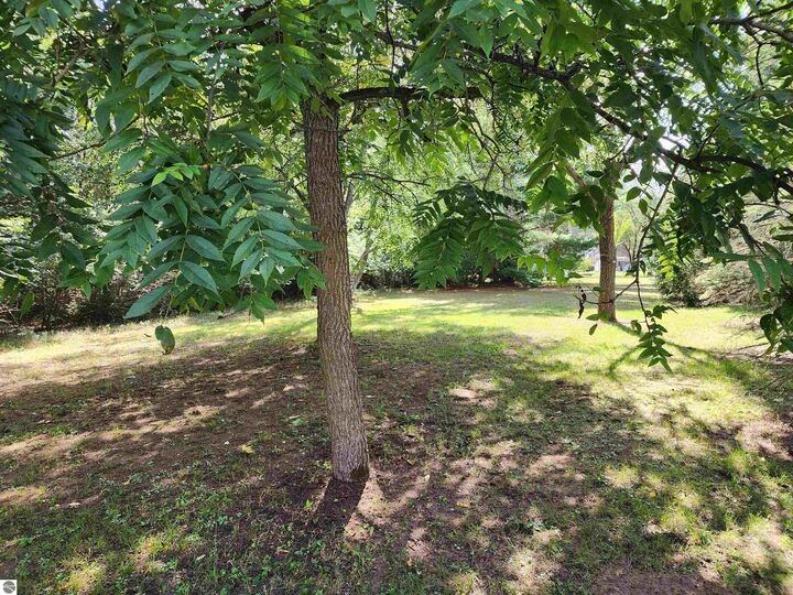Property Photo:  3560 Pine Tree  MI 48893 