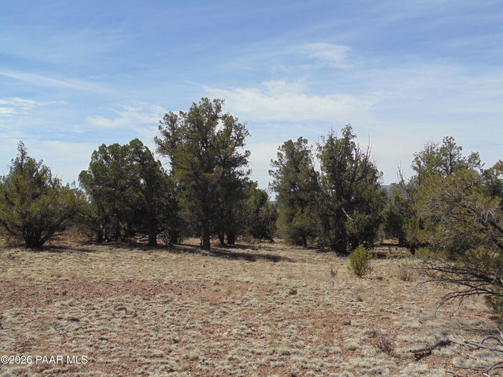 Property Photo: 56765 Hidalgo Cir AZ 86337