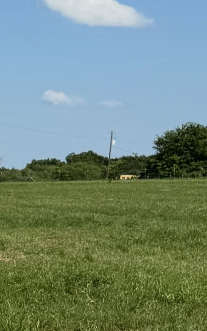 Property Photo: 16084 Wood Rd Highway TX 76534