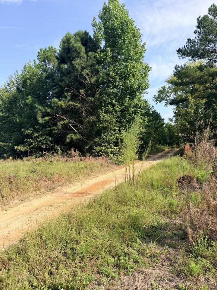 Property Photo: 141 Autumn Chase Lane SC 29842