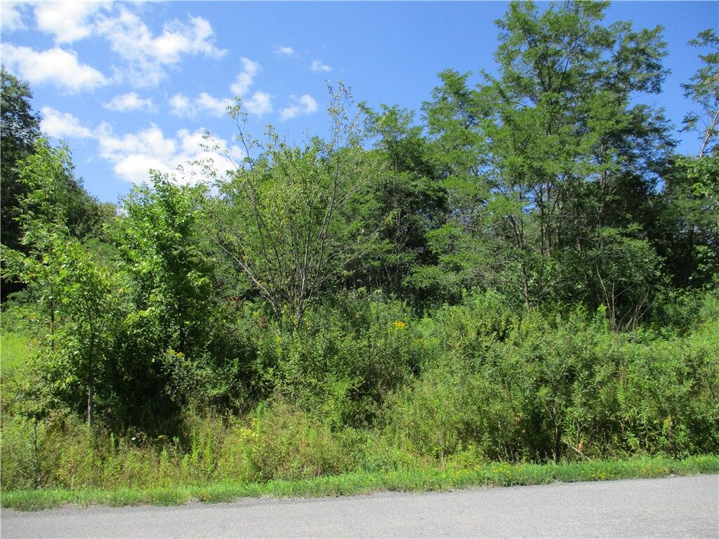 Property Photo:  0 Daniels Road  NY 13844 