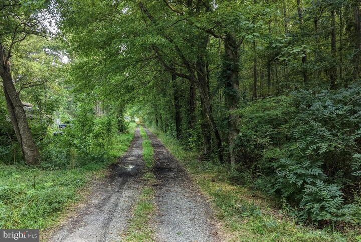 Property Photo: 111 Thicket Road DE 19934