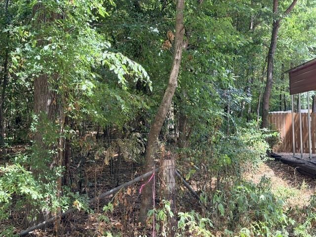 Property Photo: 000 McCurdy Road AR 72015