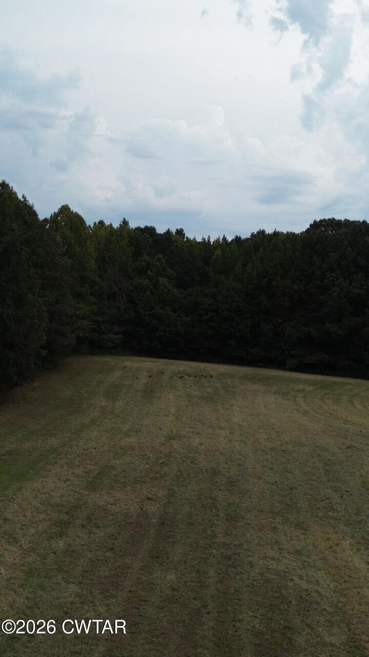 Property Photo:  00 W Hwy 100  TN 38075 