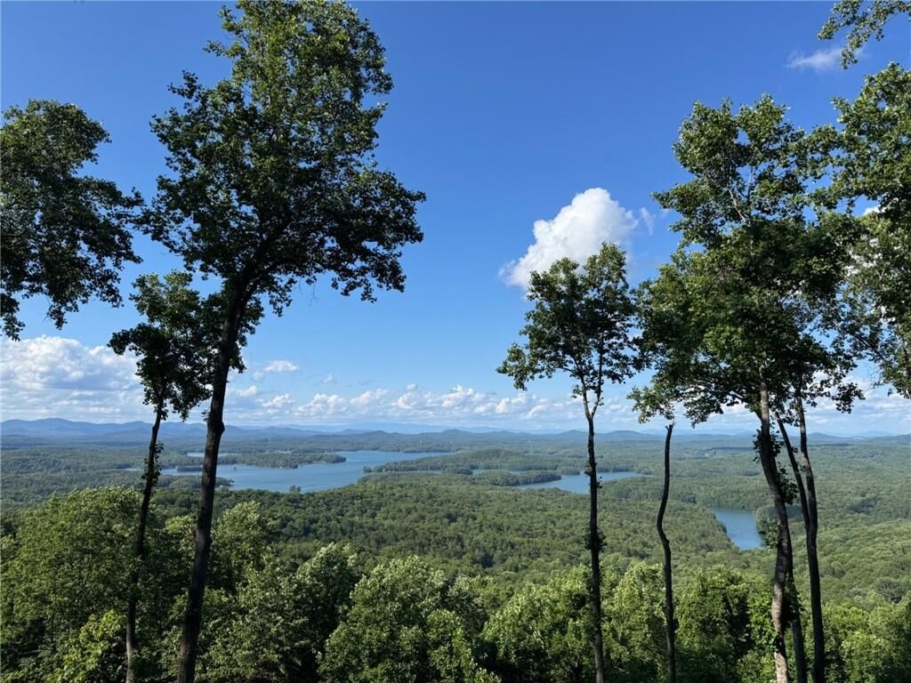 Property Photo:  970 Lakeview Drive  GA 30513 