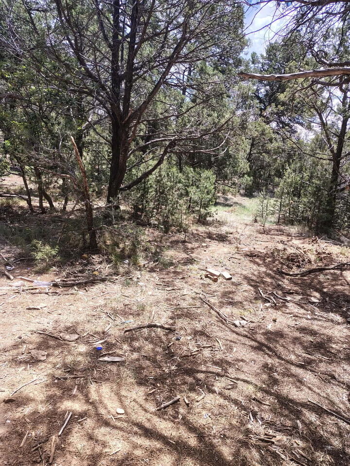 Property Photo:  12 Quail Hollow Road  NM 87059 