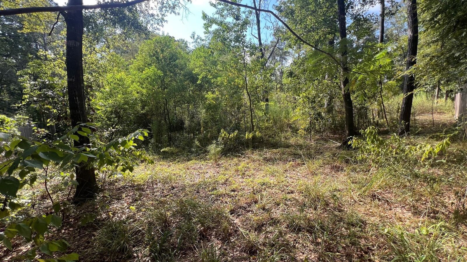 Property Photo:  1112 Columbia River Rd  TX 77316 