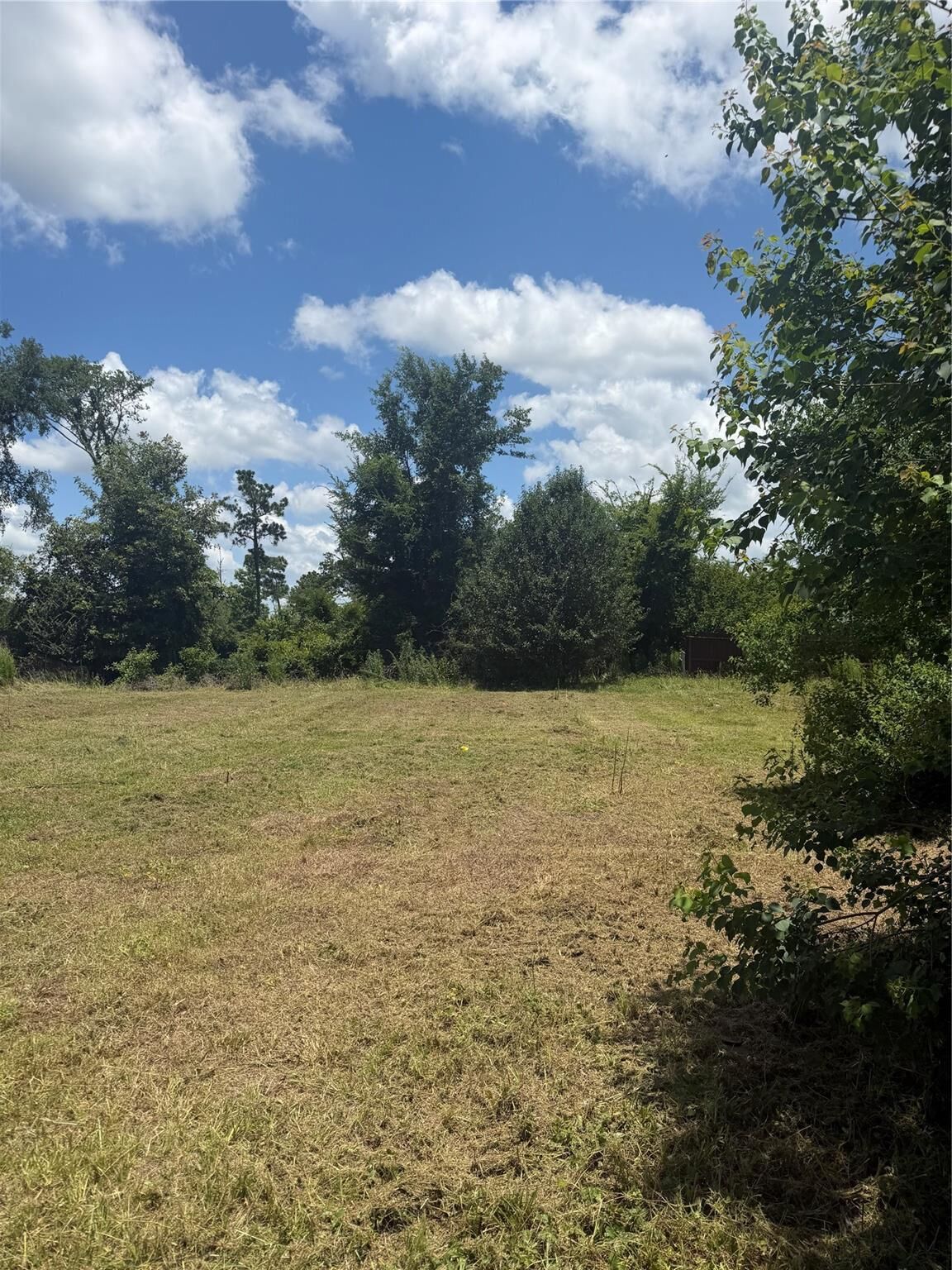 Property Photo: Tbd Mulberry Cove TX 77360