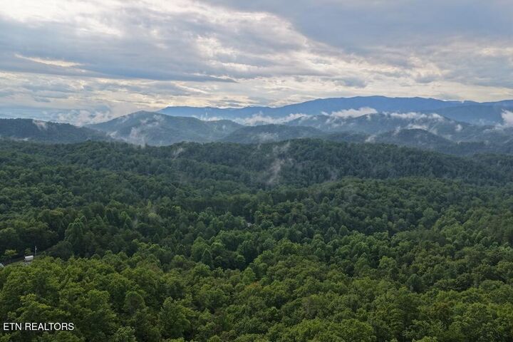 Property Photo:  Lot 42 Shady Oaks Way  TN 37876 