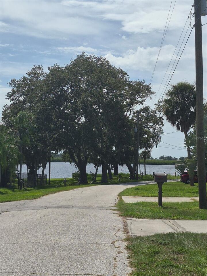 Property Photo:  2054 Saffold Park Drive  FL 33570 
