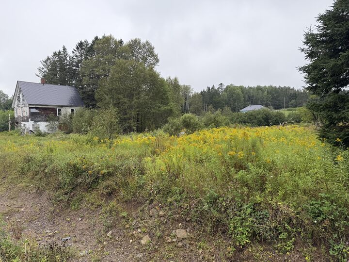 Property Photo:  352 Ladner Road  ME 04740 