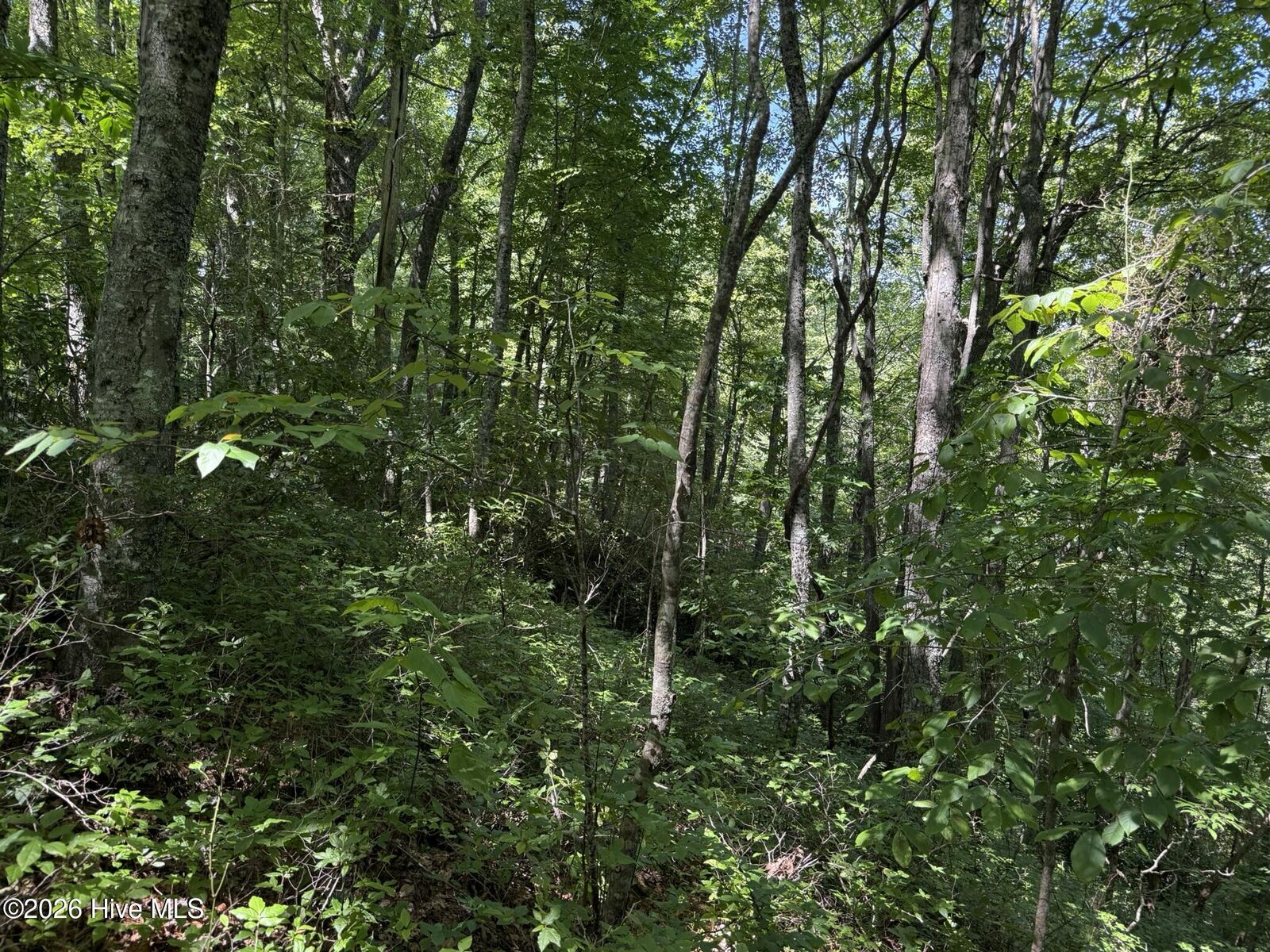 Property Photo: Lot 2 Amber Lane NC 28781