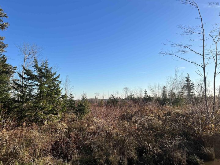 Property Photo: Lot Small Gains Road NS B0W 1B0