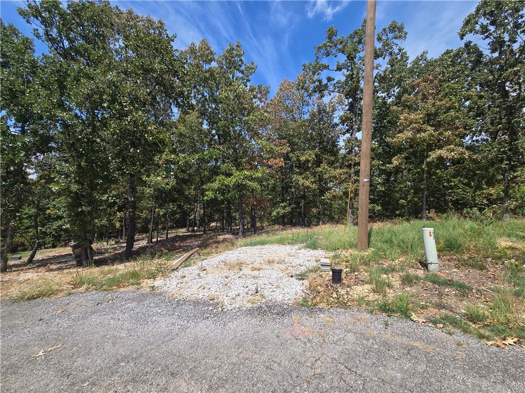 Property Photo:  Lot 6 Lothian Lane  AR 72715 