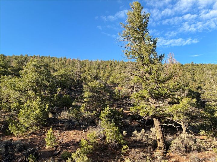 Property Photo: 8.5 Ac Adelaide Road CO 81152