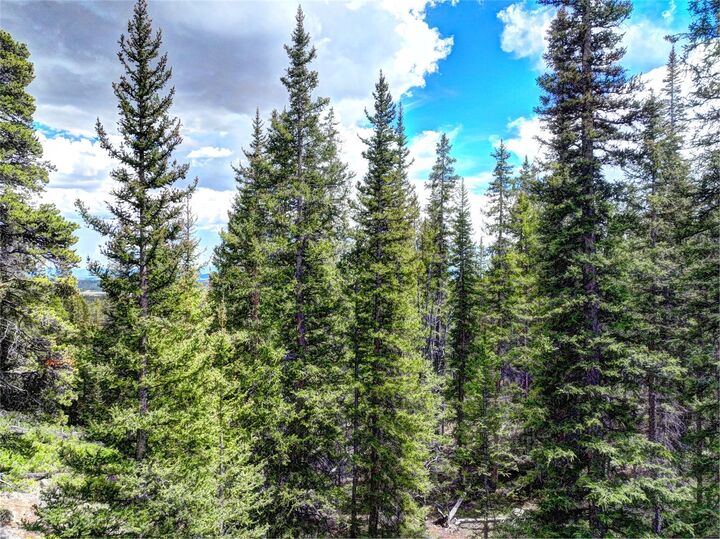 Property Photo: 0 Dry Gulch Road CO 80440
