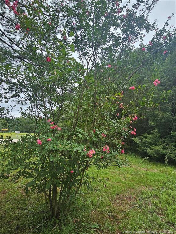 Property Photo:  23 Southfork Road  NC 28371 