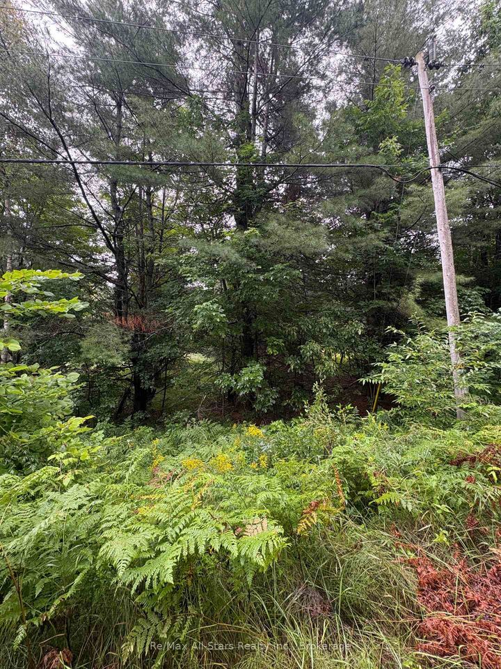 Property Photo:  968 North Mary Lake Road  ON P1H 1S4 