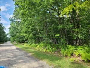 Property Photo:  V/L Wolverine Trail  MI 49735 