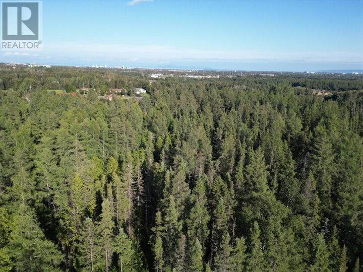 Property Photo: 272 Cambridge Street ON P7G 1N3