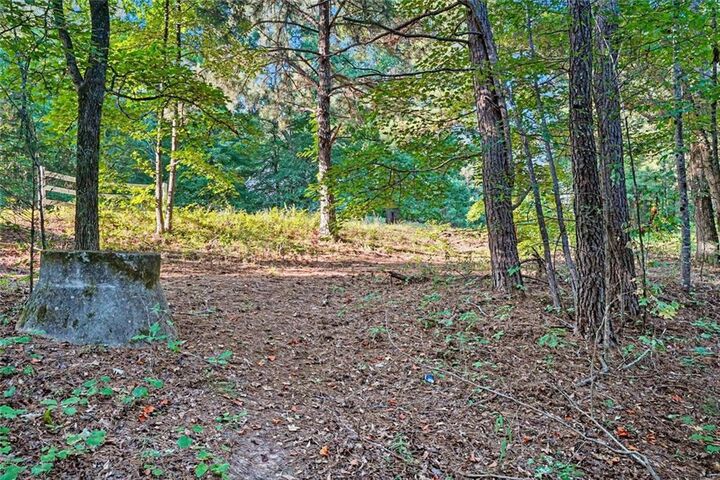 Property Photo:  0 Locust Road  GA 30248 