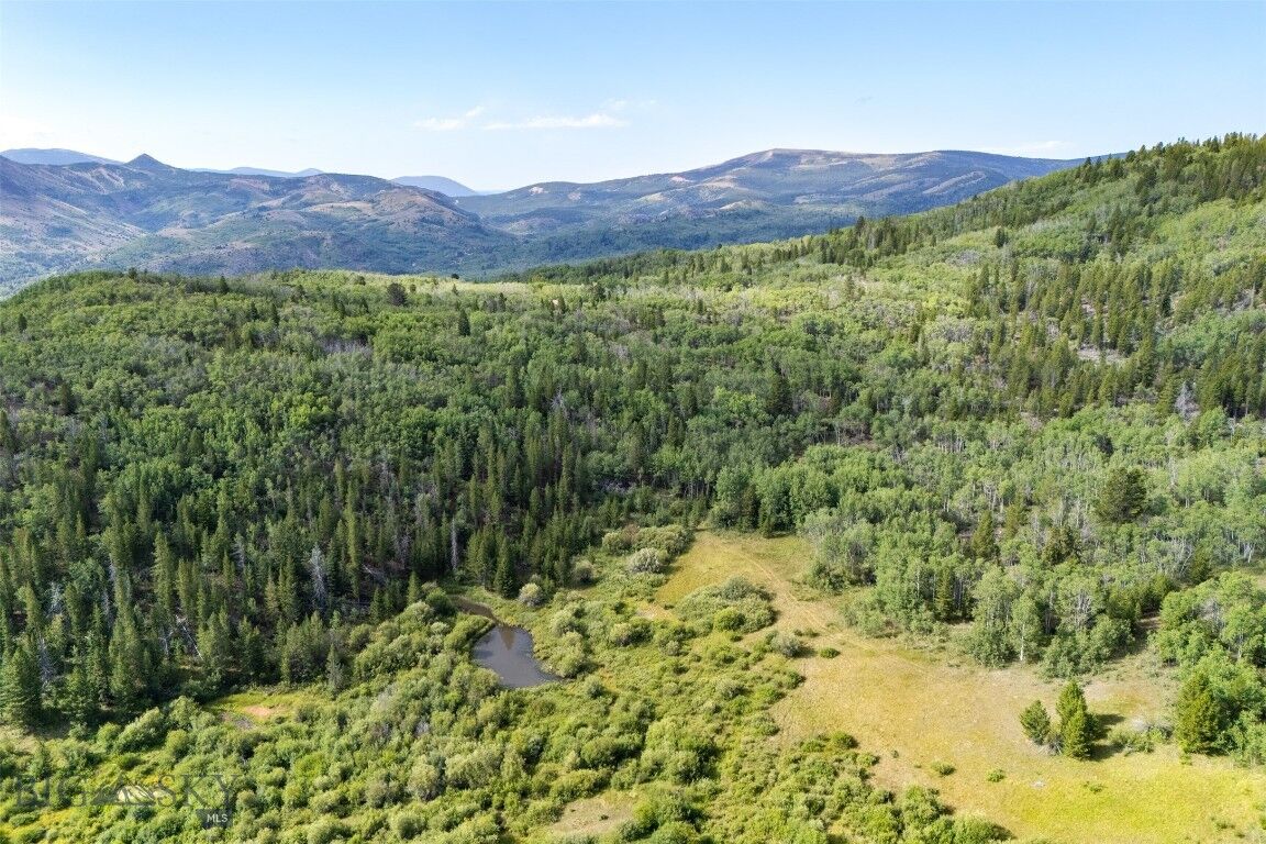 Property Photo:  Tbd Tract A  MT 59711 
