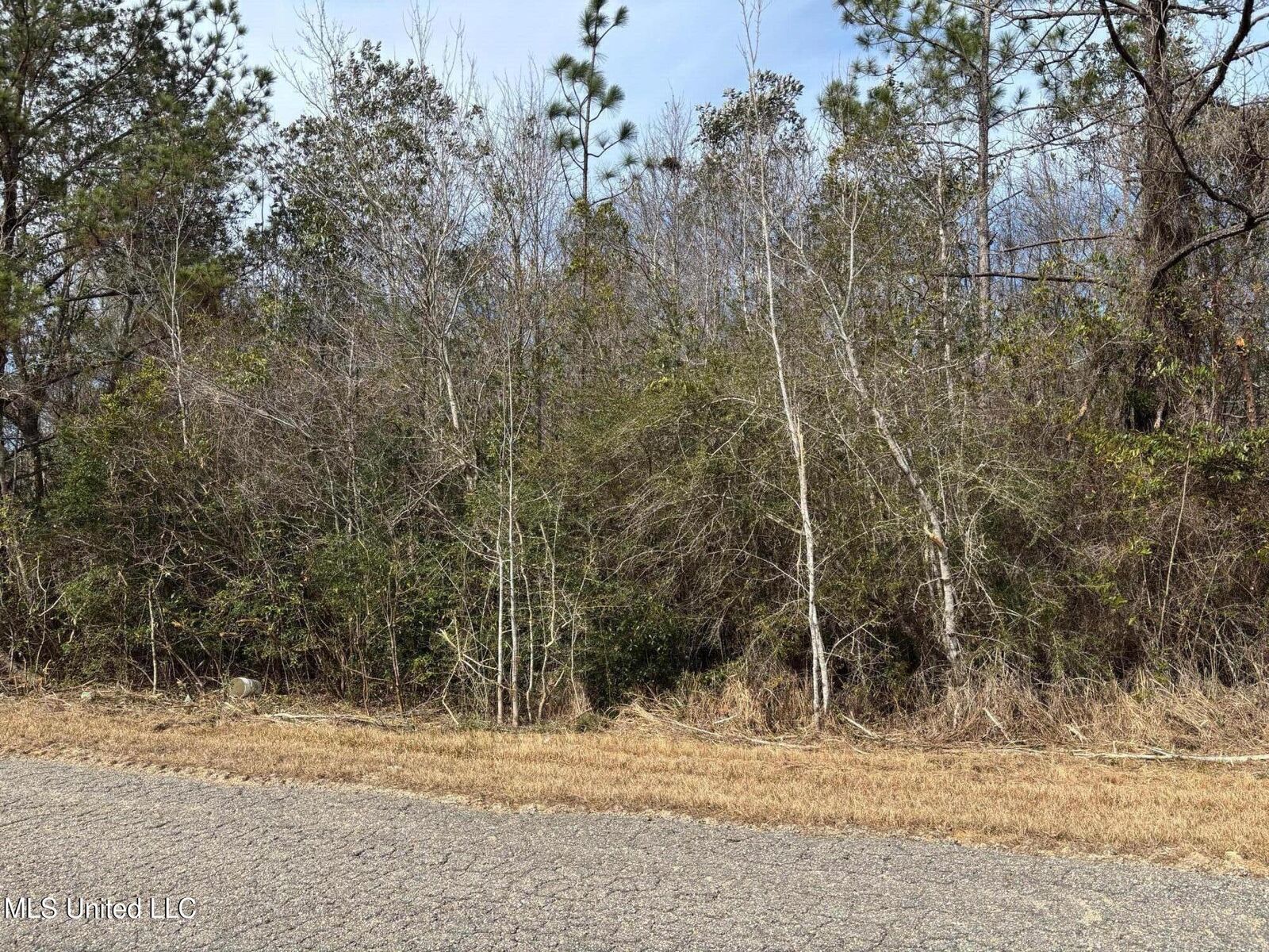 Property Photo:  00 Crestwick St. Street  MS 39574 
