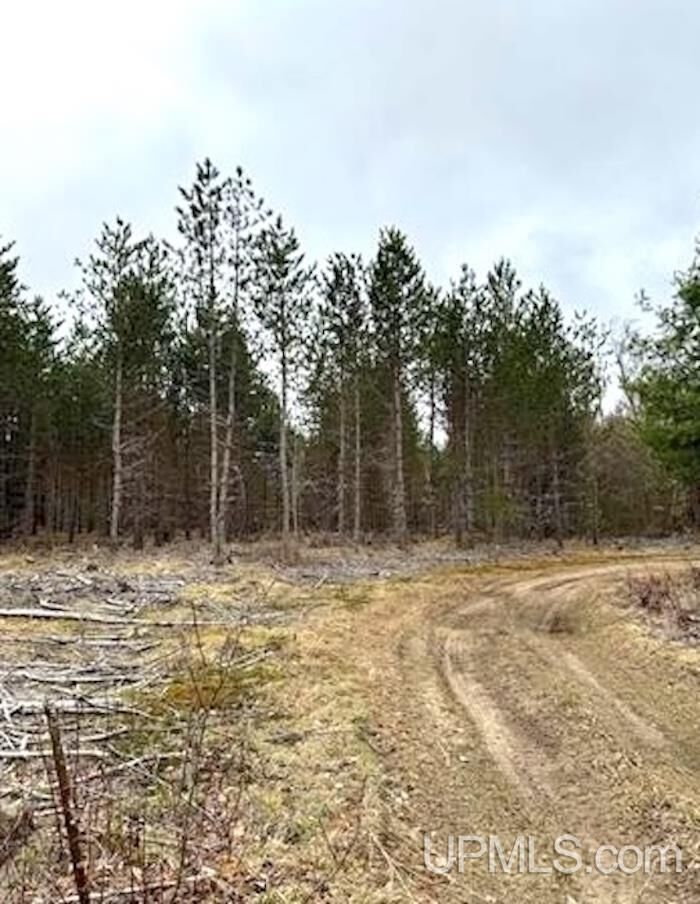 Property Photo: Tbd Co Rd 440 Road MI 49849