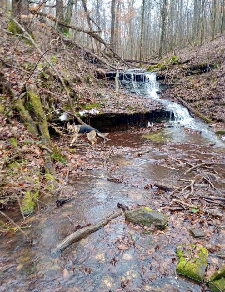 Property Photo:  2280 Big Opossum Creek Rd  TN 37096 