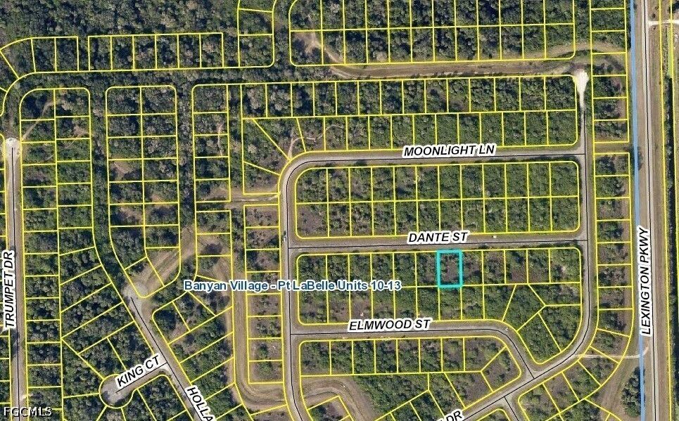 Property Photo:  310 Dante Street  FL 33935 