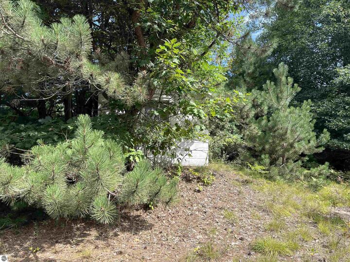 Property Photo:  0 Cedar Lake Road  MI 48738 